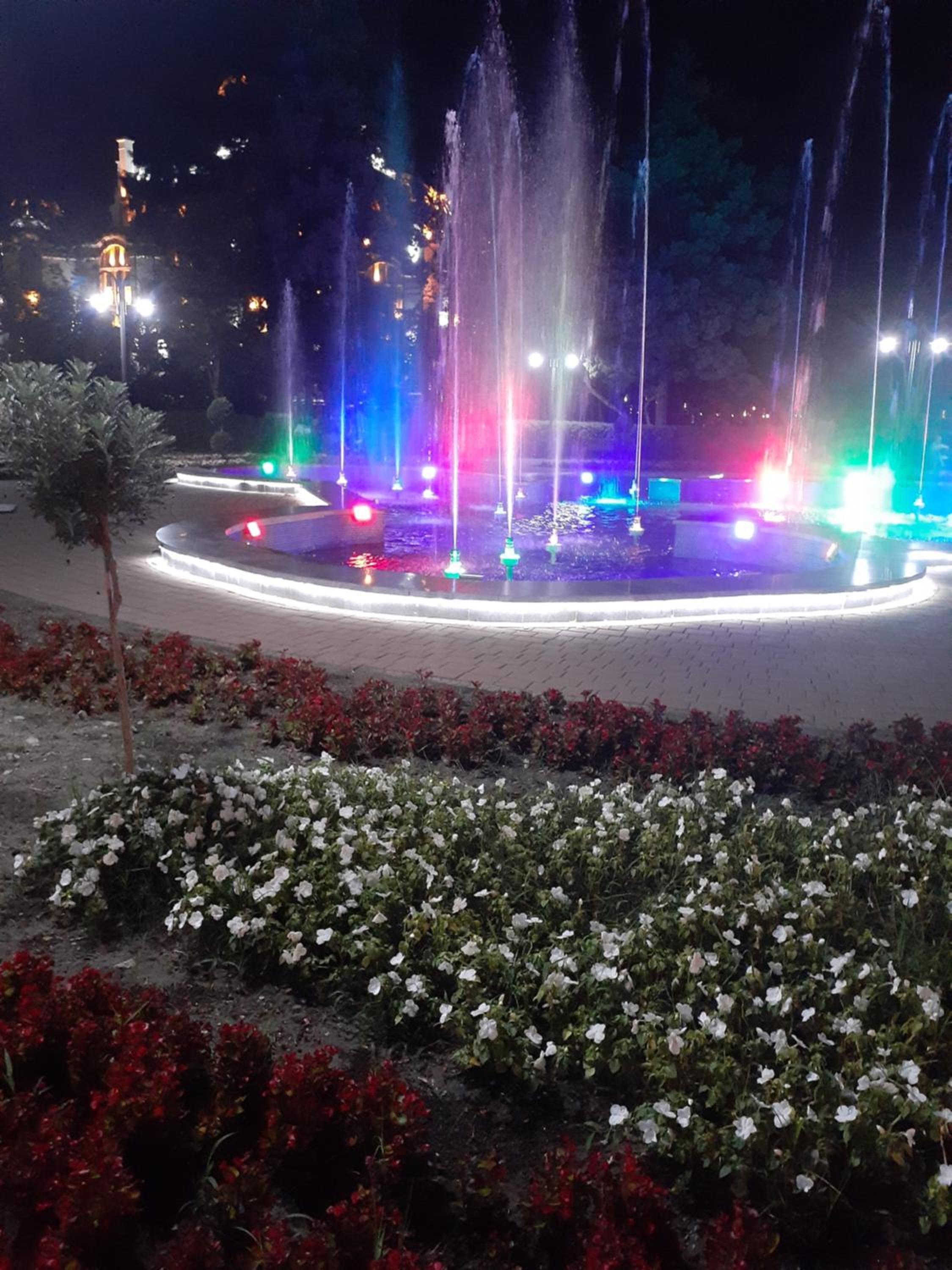 Photo 46