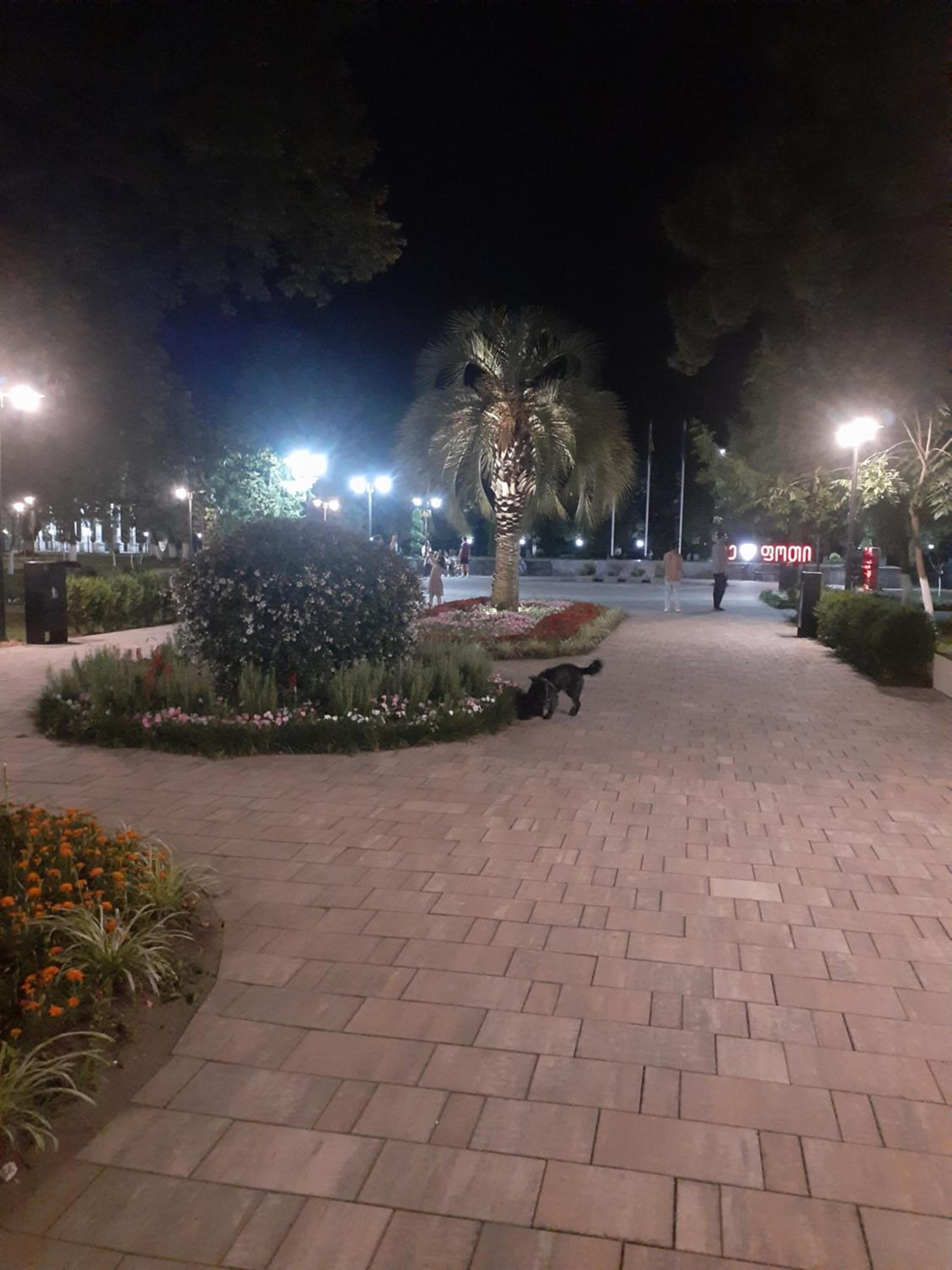 Photo 44