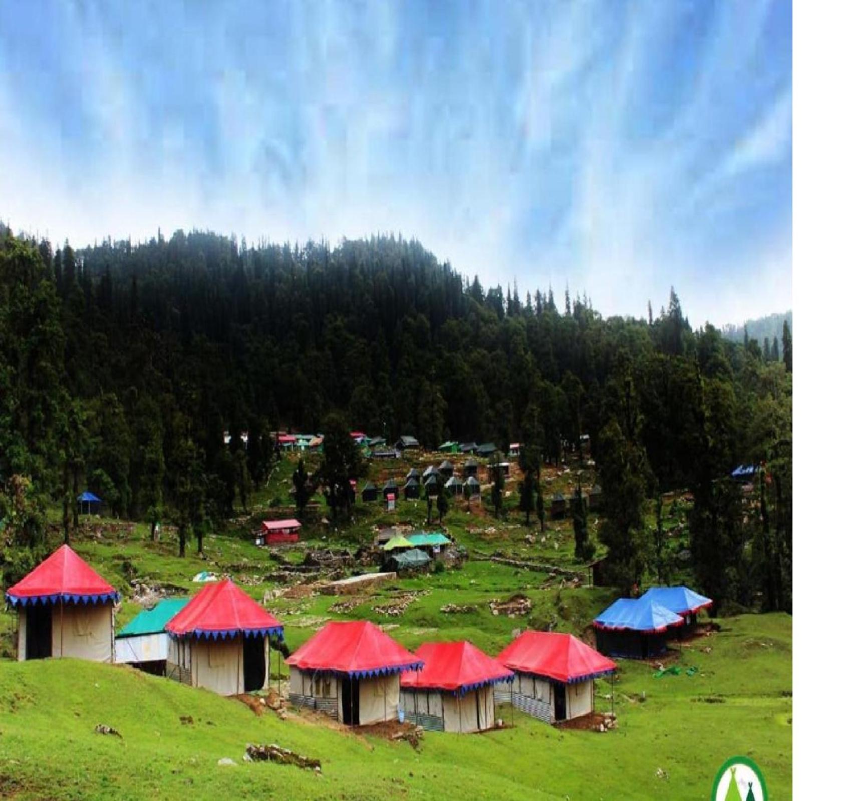 Camping at Serene Chopta view 4