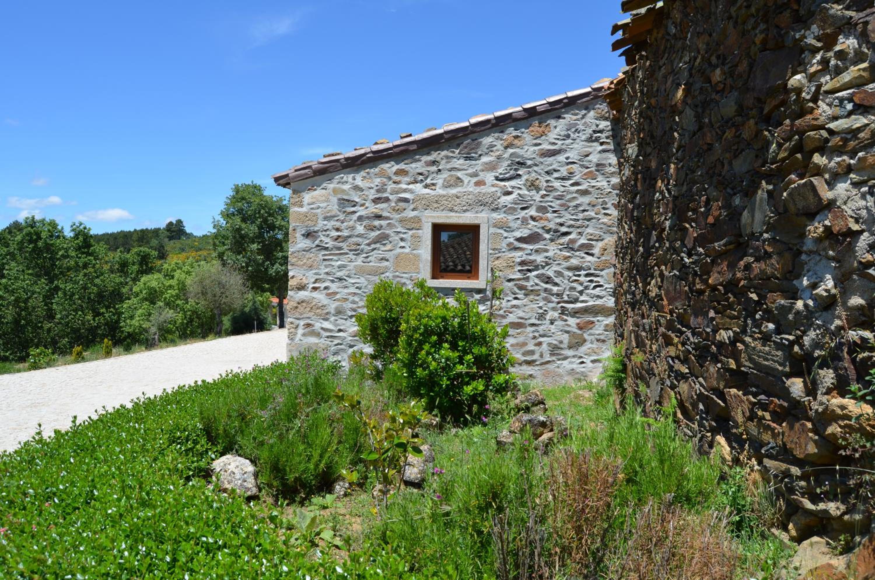 Photo 42