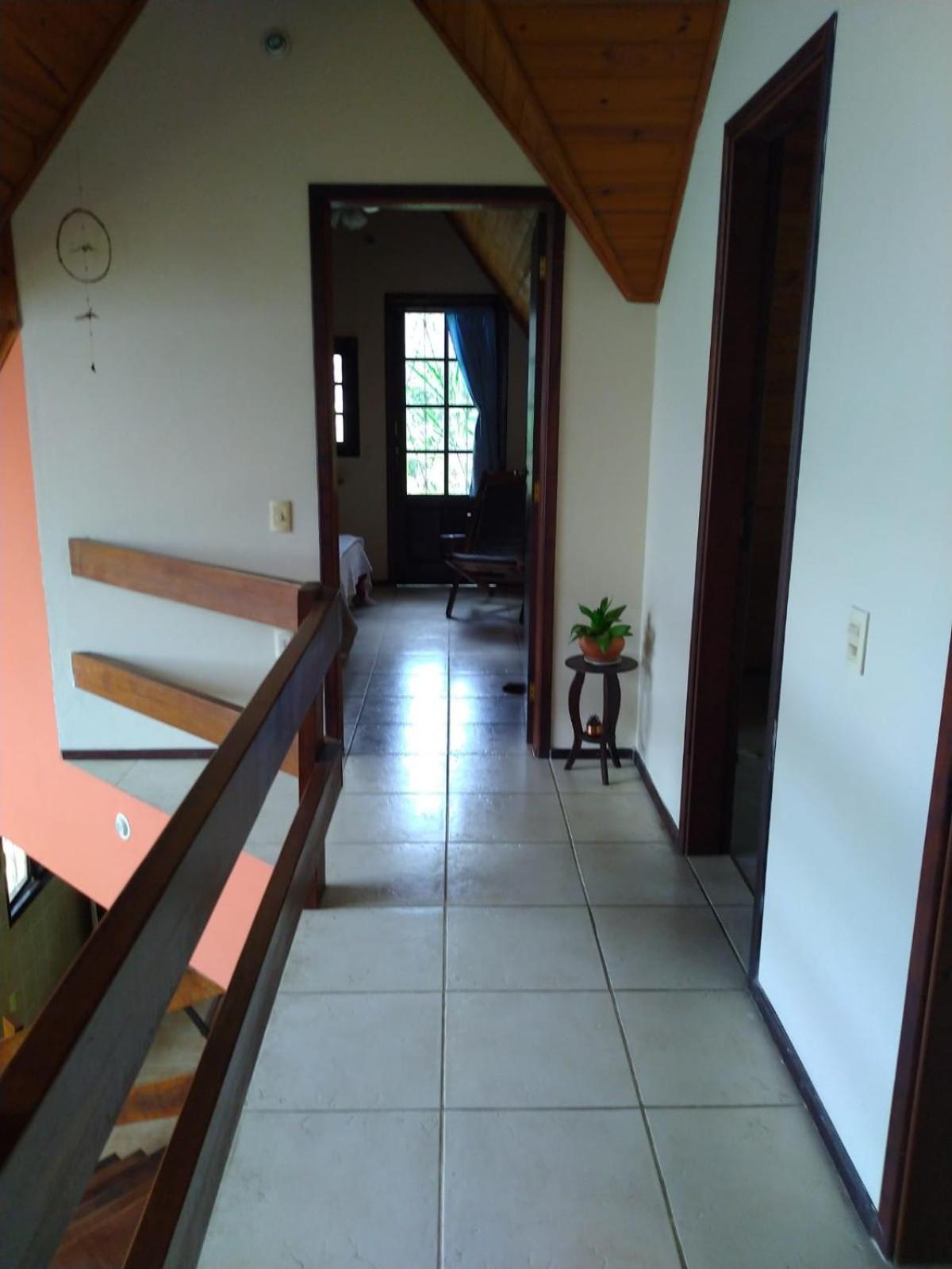 Casa Penedo Martinelli - Tranquilidade e muito verde