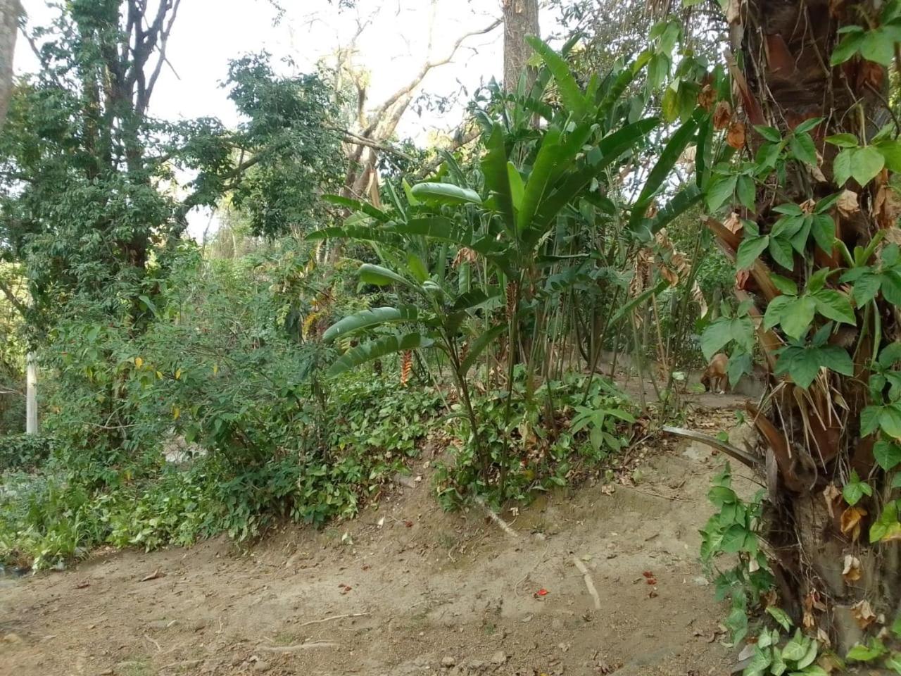 Casa Penedo Martinelli - Tranquilidade e muito verde