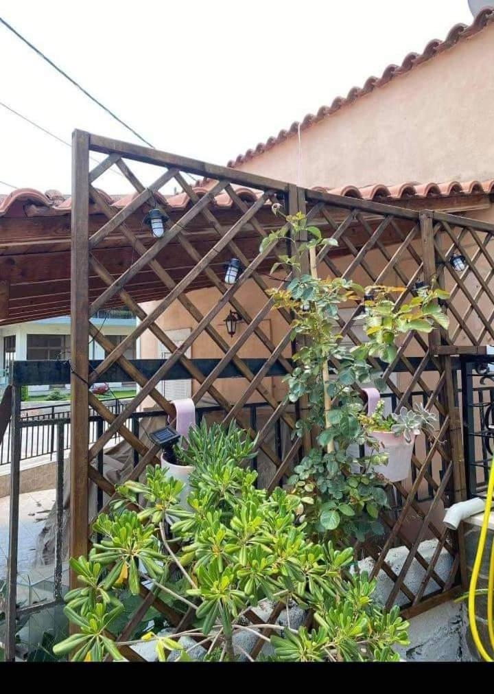 Sady's House view 3