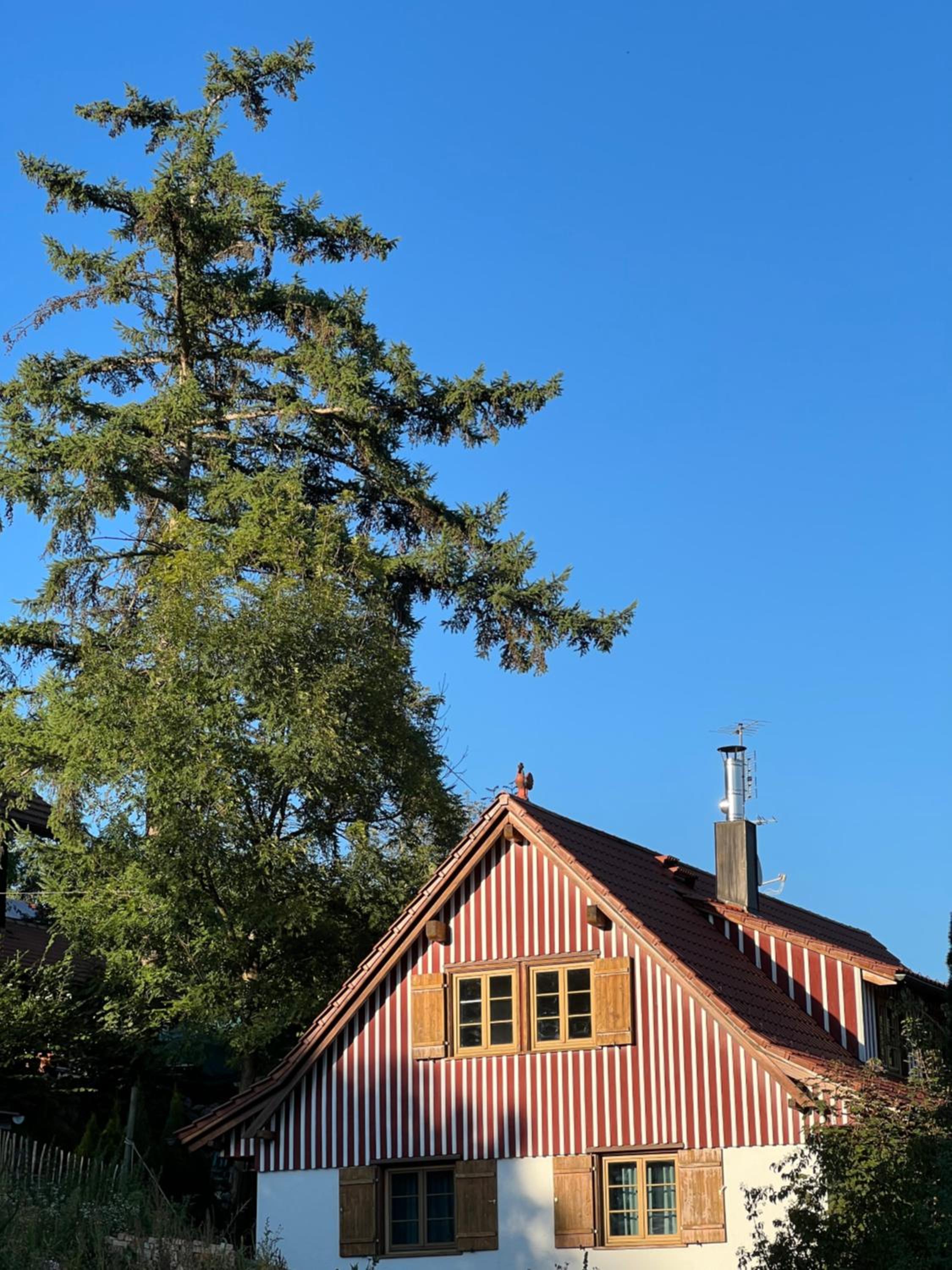 Pia's Nature Retreat