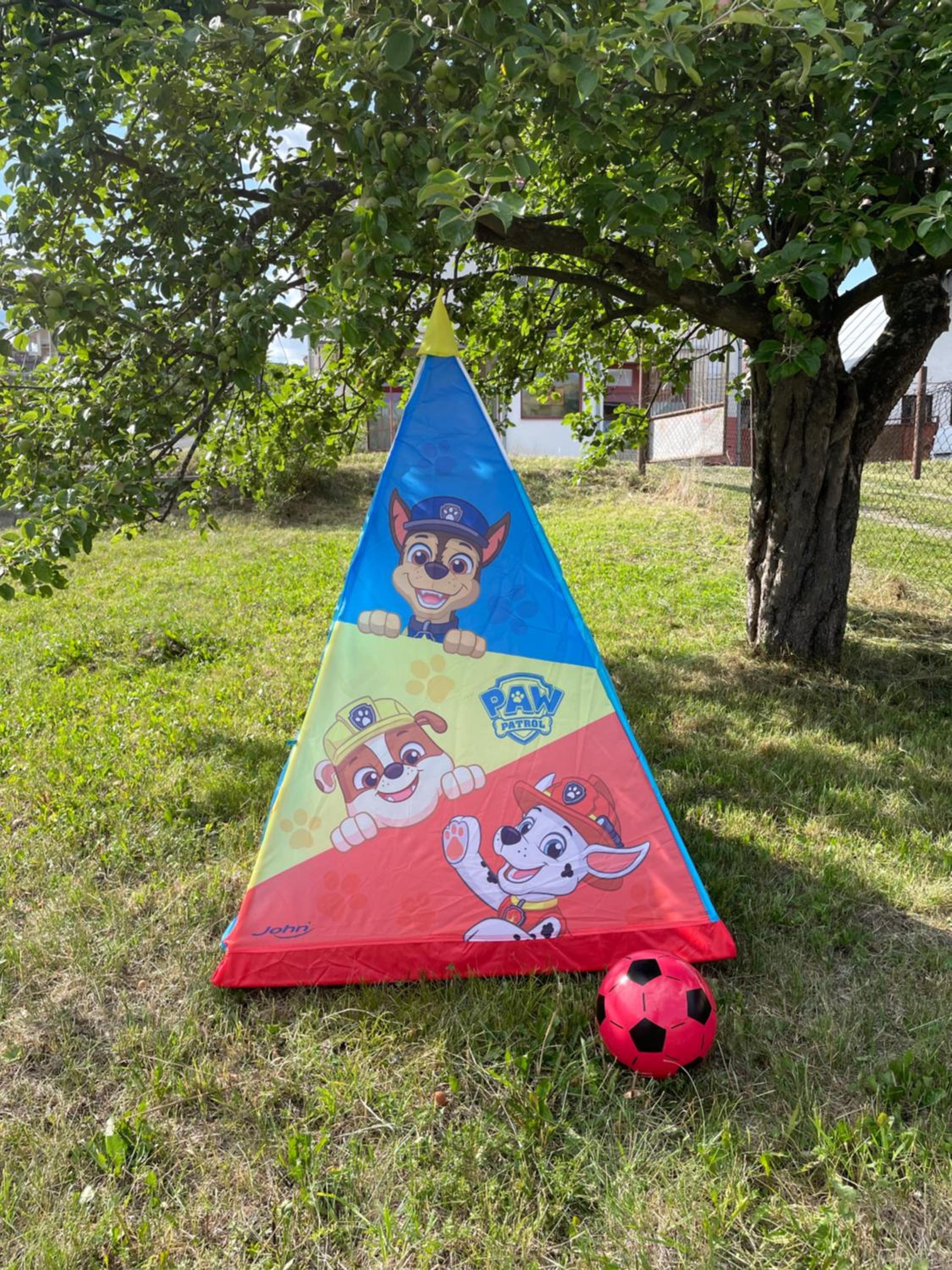 Photo 41