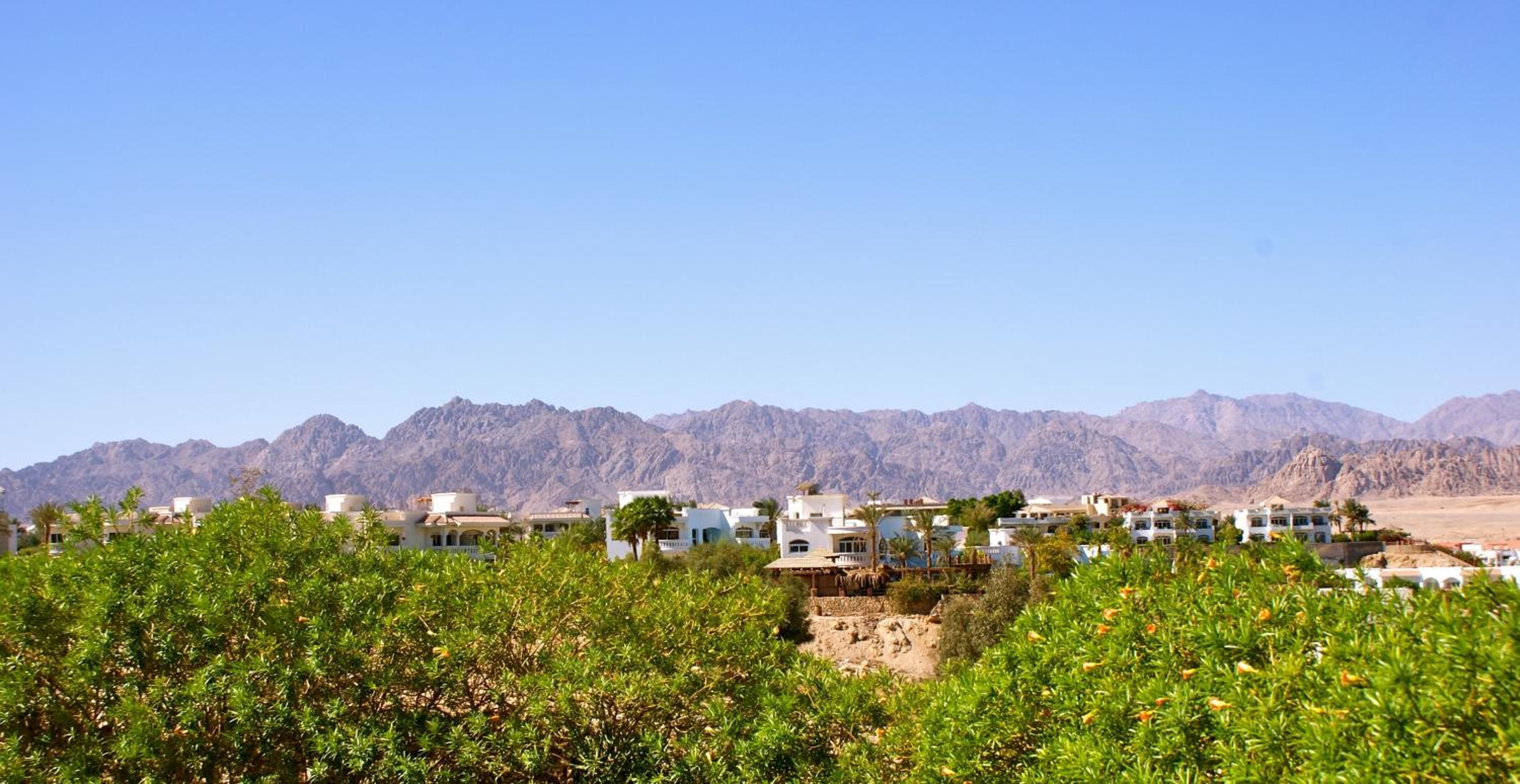Eden Rock Hotel Namaa Bay — photo 18