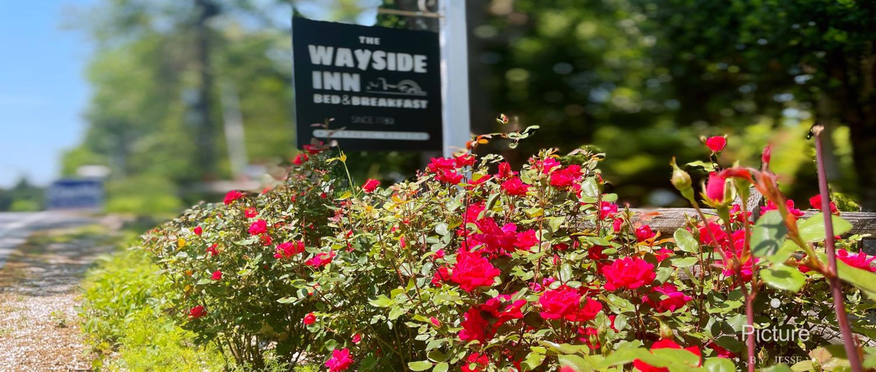Wayside Inn Bed and Breakfast - Property Image 73