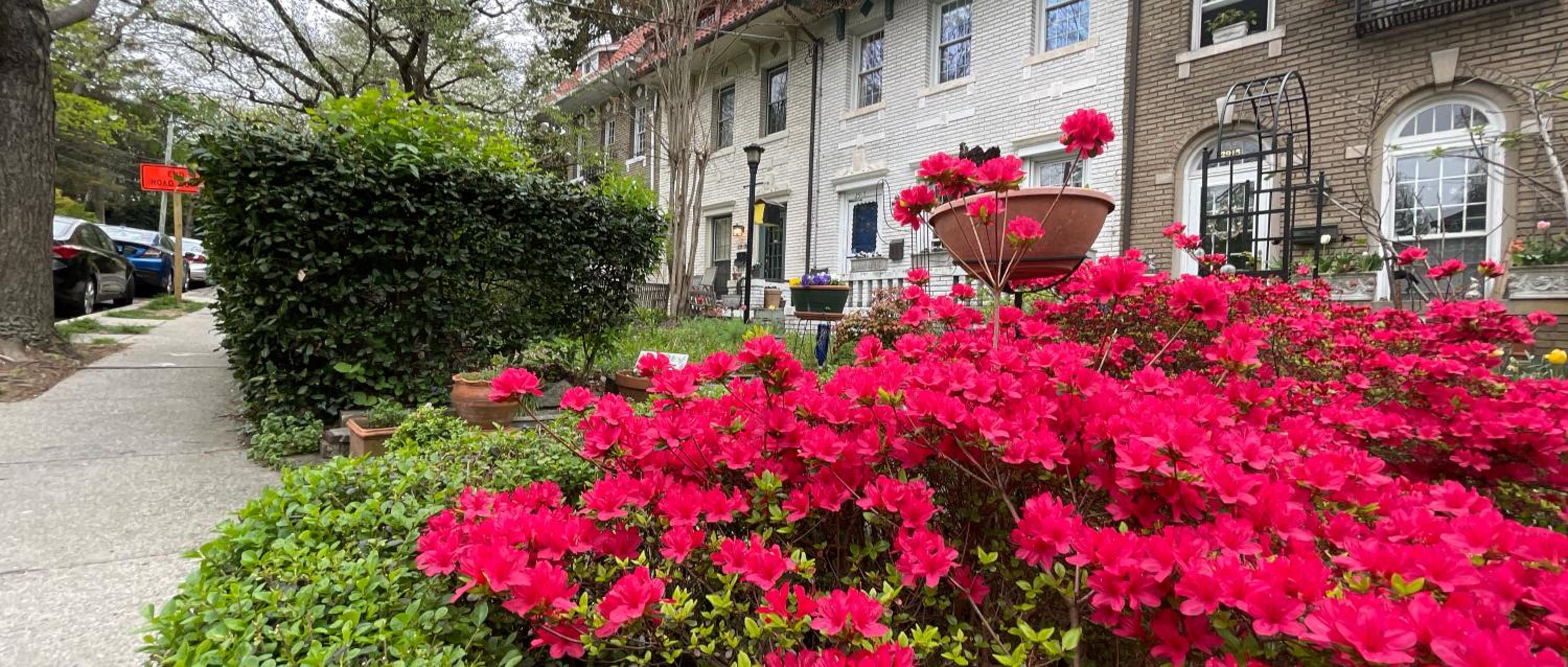 Wayside Inn Bed and Breakfast - Property Image 25
