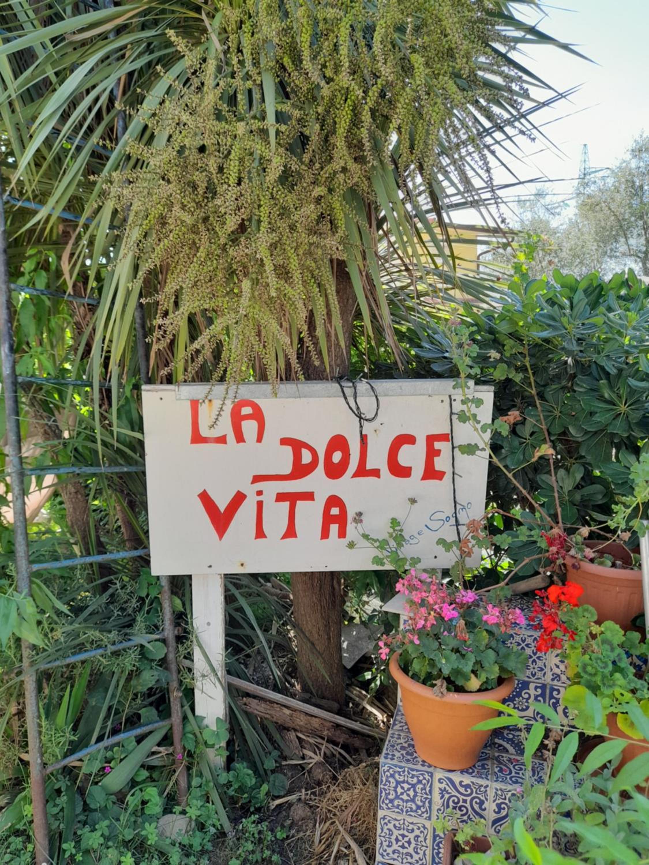 Photo 40