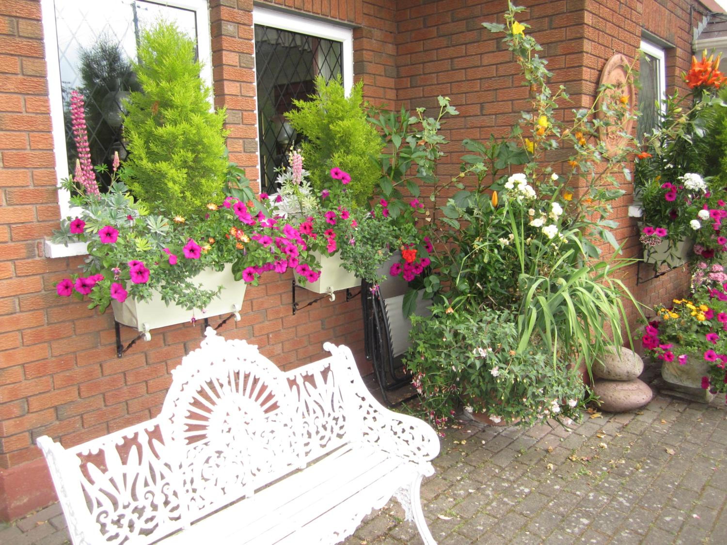 Killyon Guest House, photo 20