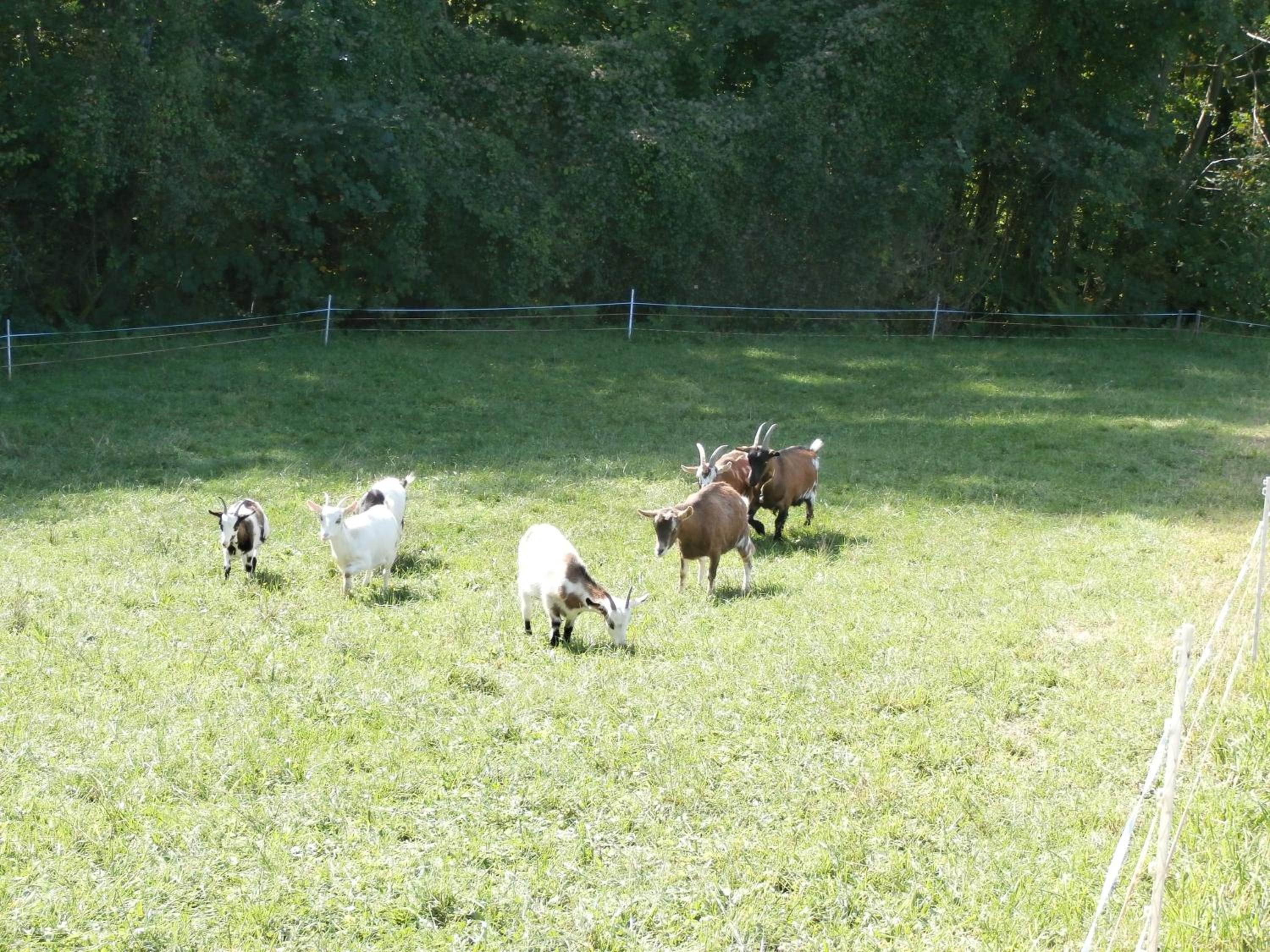 Kräuterhof Miesrigl