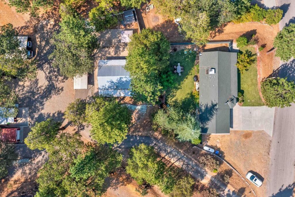 Acorn Cottage - Hidden gem in green heaven, getaway to Bass Lake & Yosemite view 2