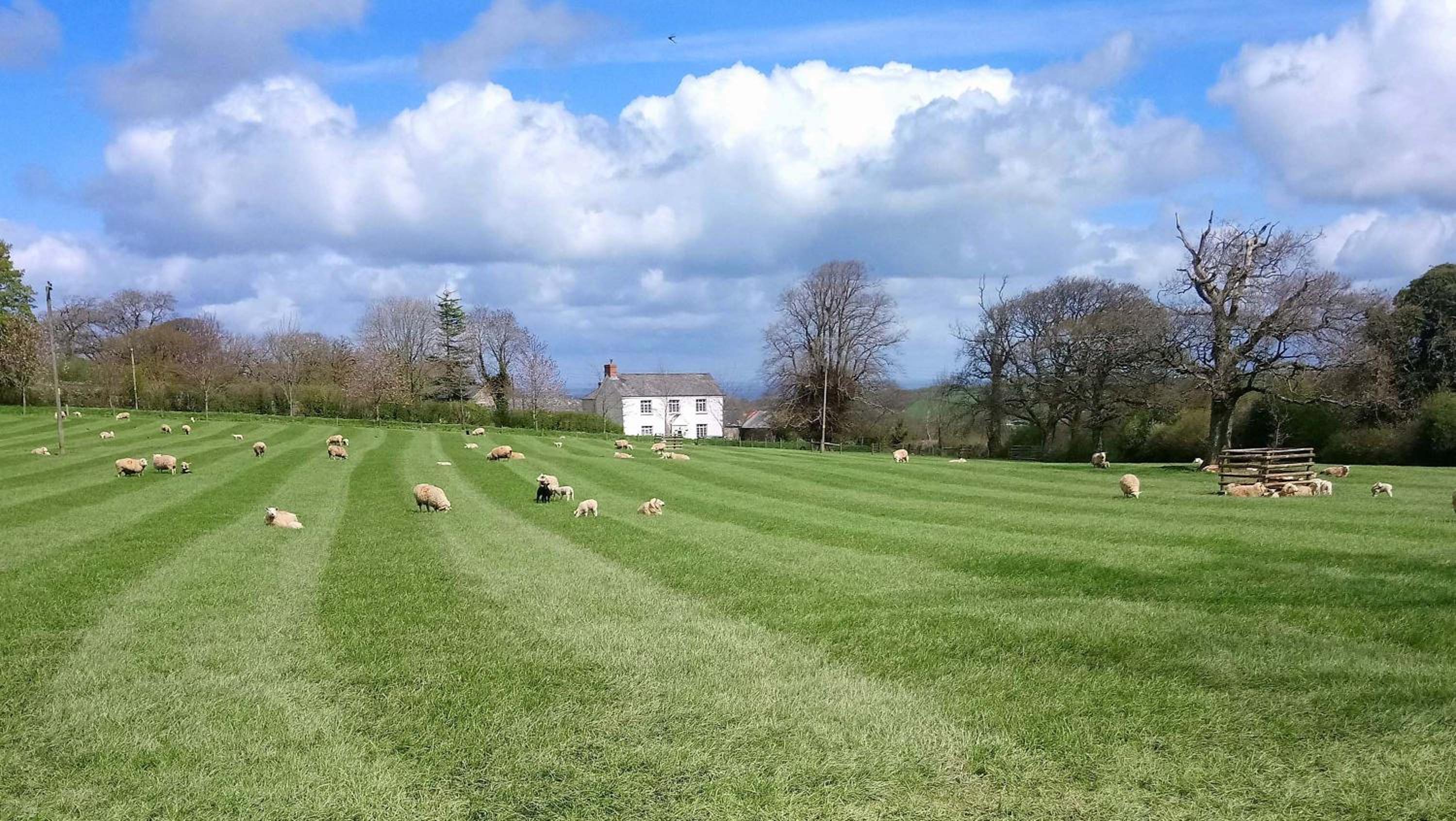 Okehampton Vacations - Lovaton Farmhouse - Property Image 34