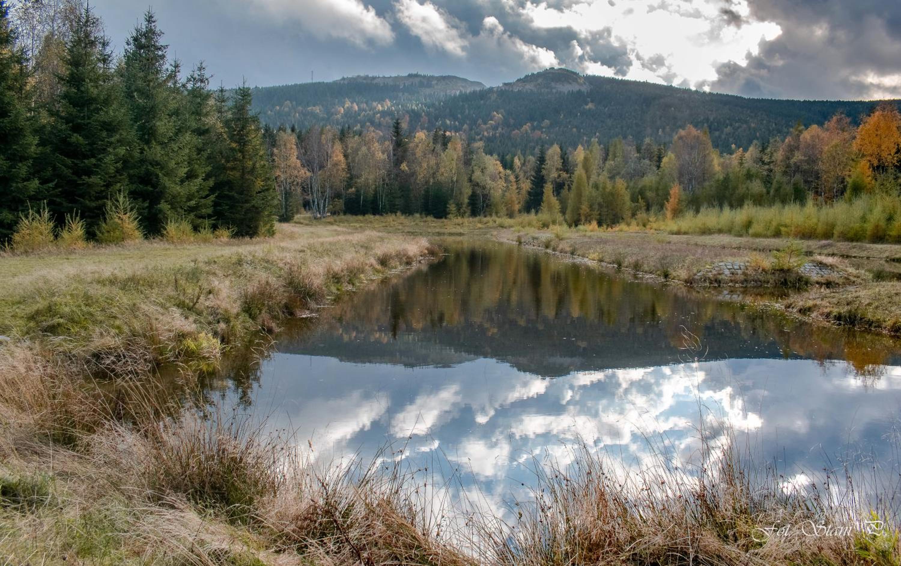 Szewska Pasja Agroturystyka Wiejska view 4