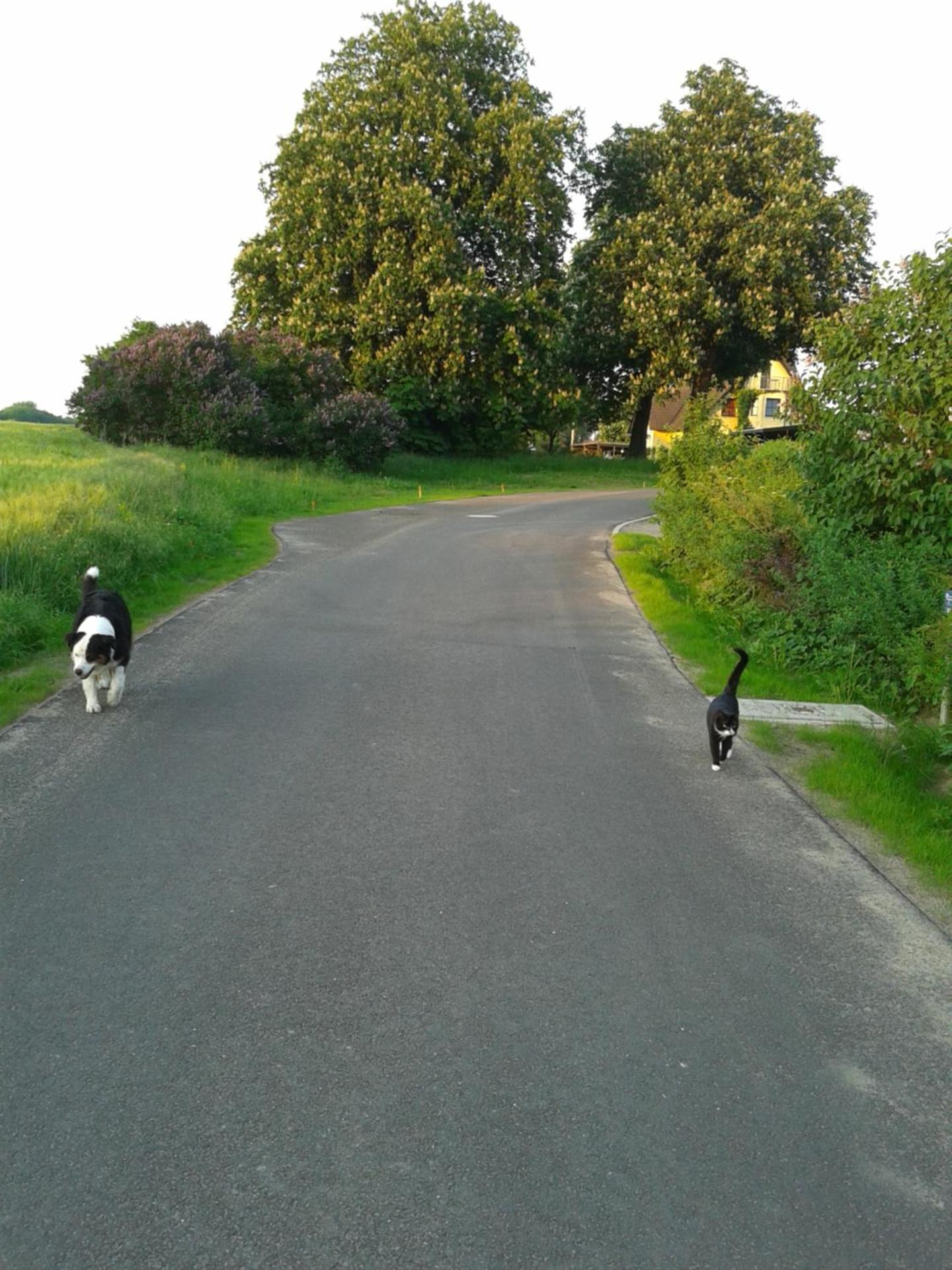 Haus Rosengarten- Ruhige Ferienwohnungen im Grünen