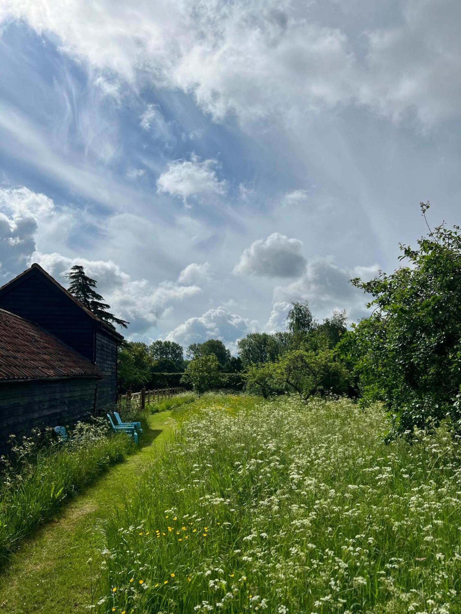 Gorgeous comfortable barn with huge private orchard in quiet Suffolk location view 4