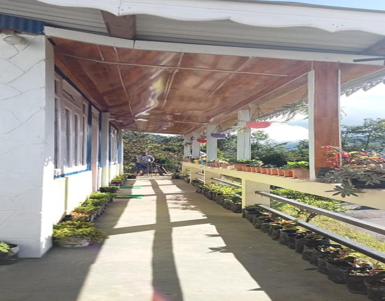 Sona Homestay by StayApart view 2
