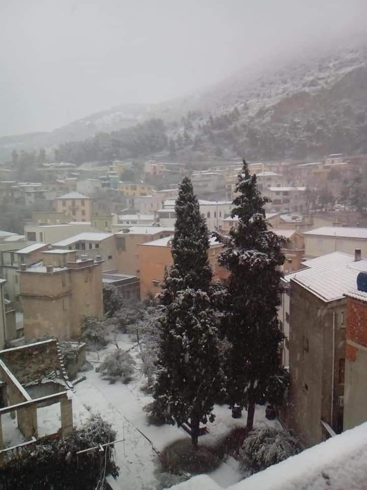 AFFITTACAMERE DORGALI B&B da ZIETTO photo 3