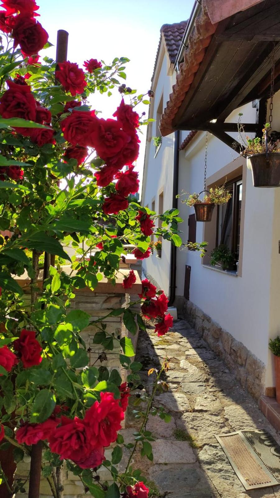 Hotel Penzion Chlumec - Image 1