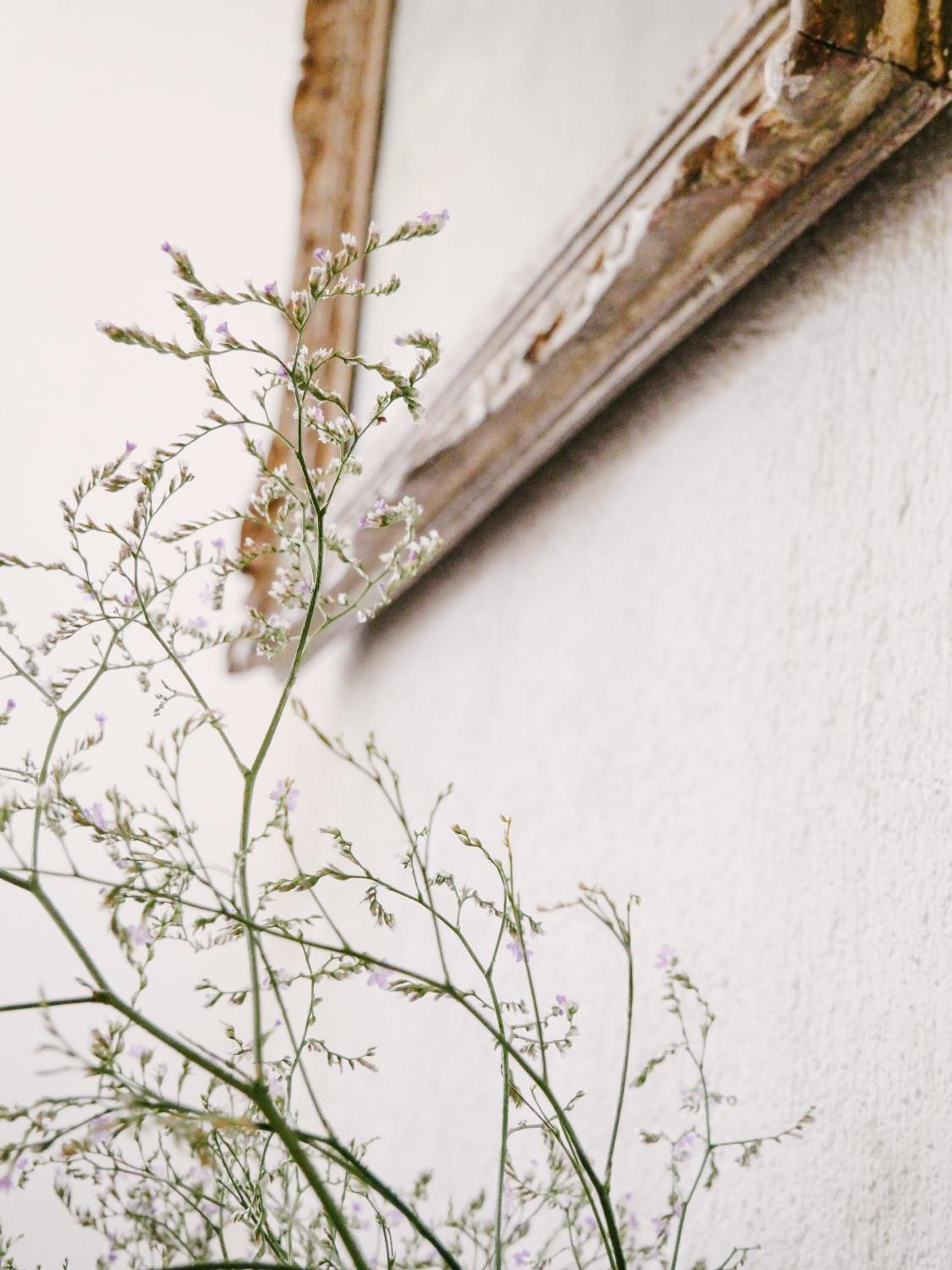 Photo 58