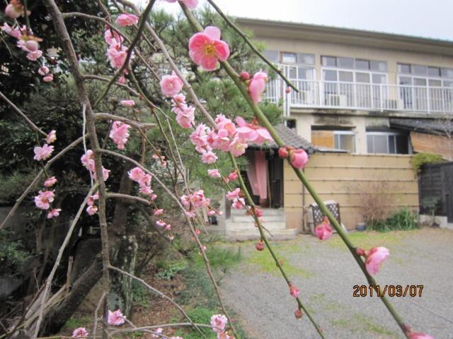 Photo 27
