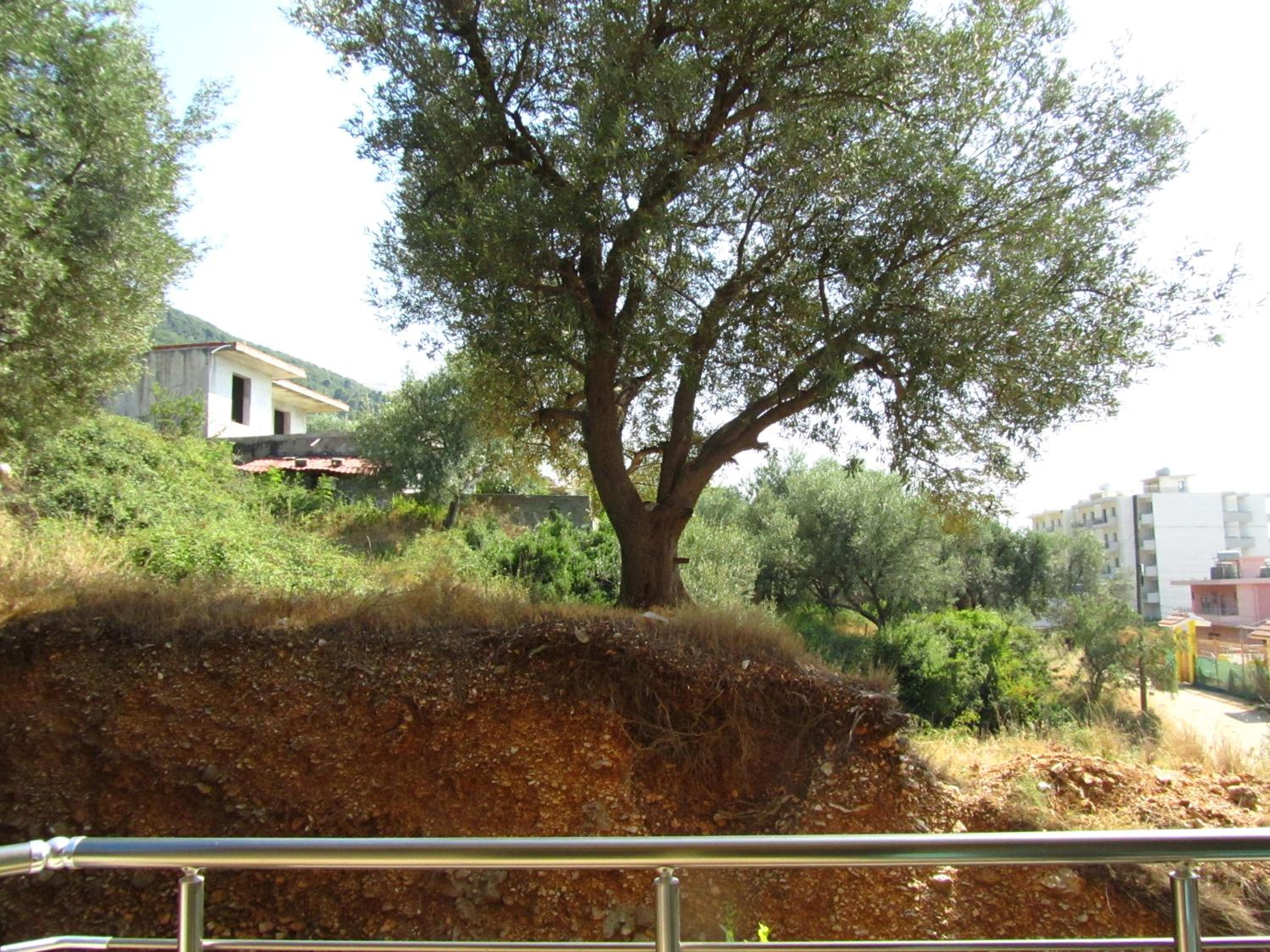 Villa Nuredinaj