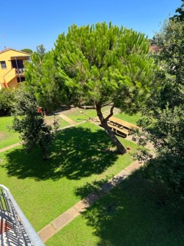 Complesso Oasi en Tirrenia