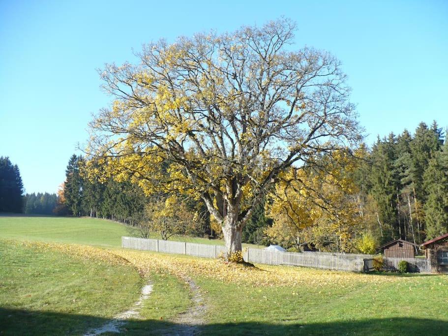 Ferienhof Stöhrmühle