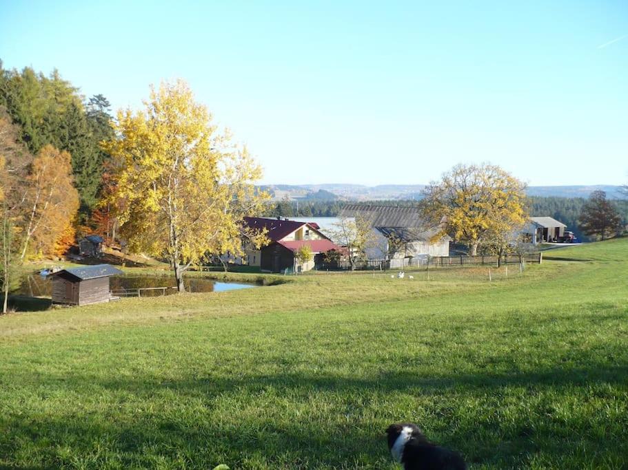 Ferienhof Stöhrmühle