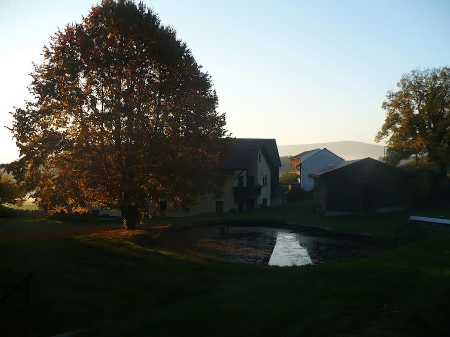 Ferienhof Stöhrmühle
