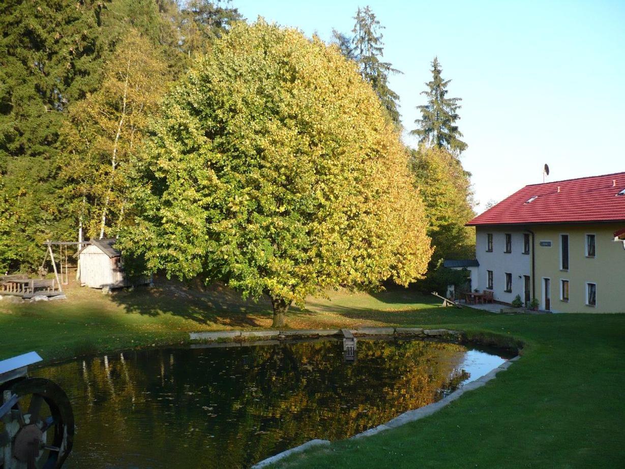 Ferienhof Stöhrmühle