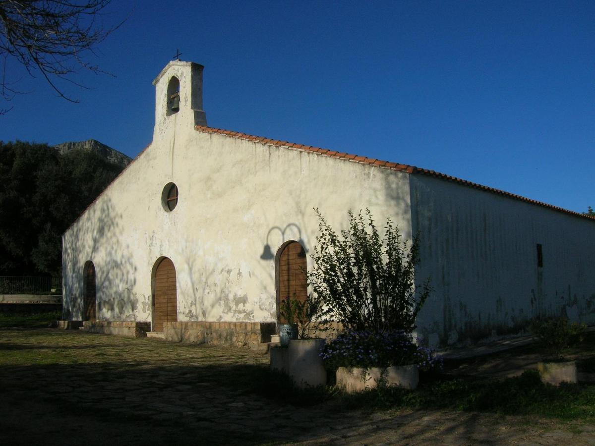 Photo 50