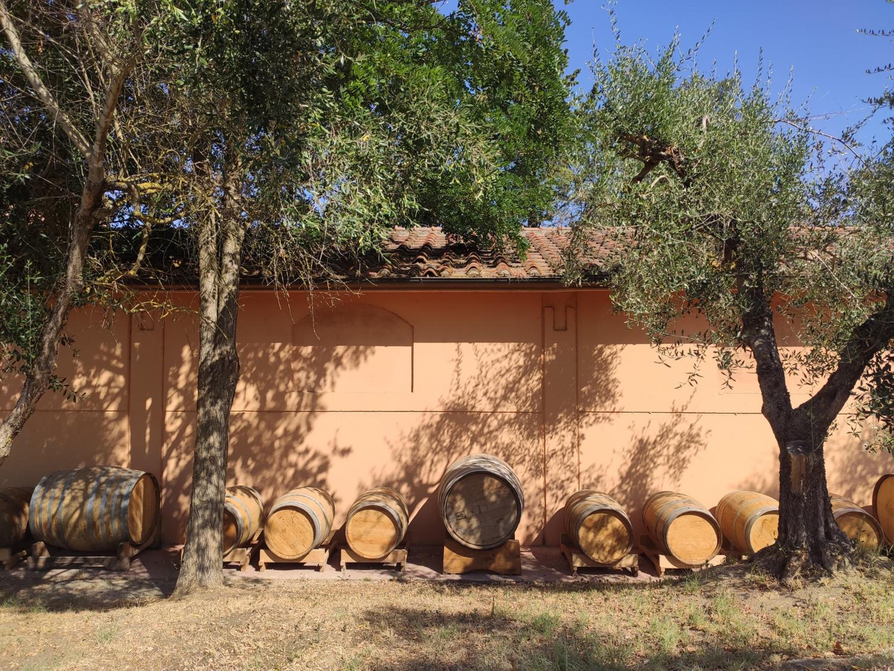 Podere Borgaruccio