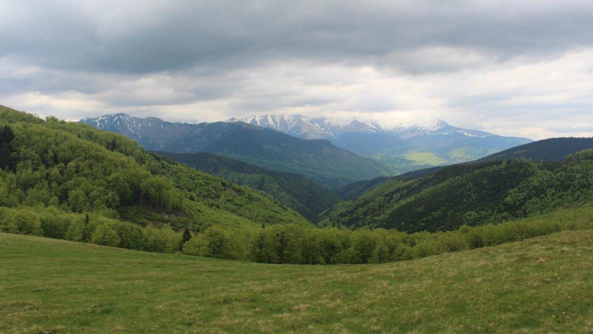 Photo 45