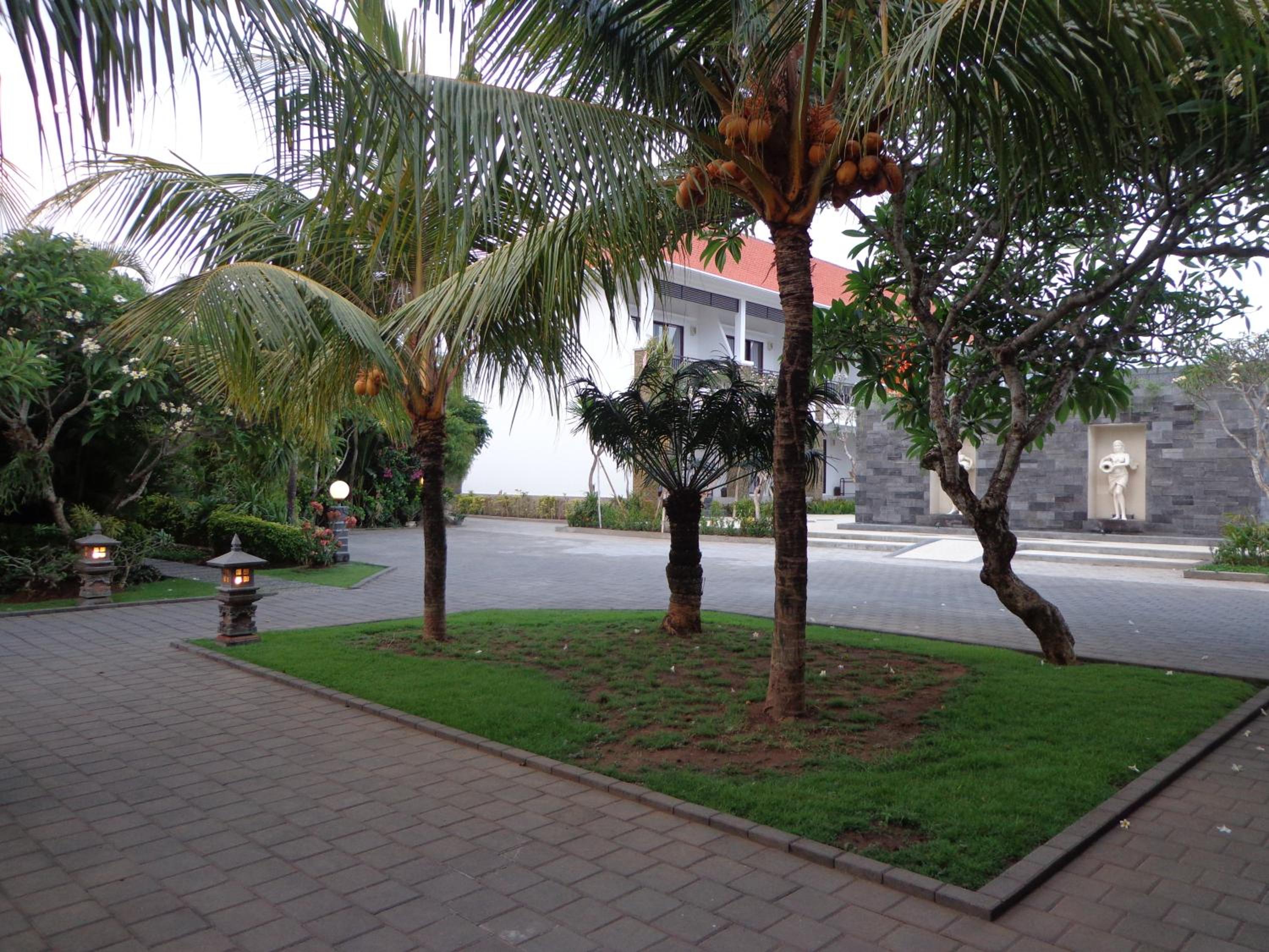 Photo 21