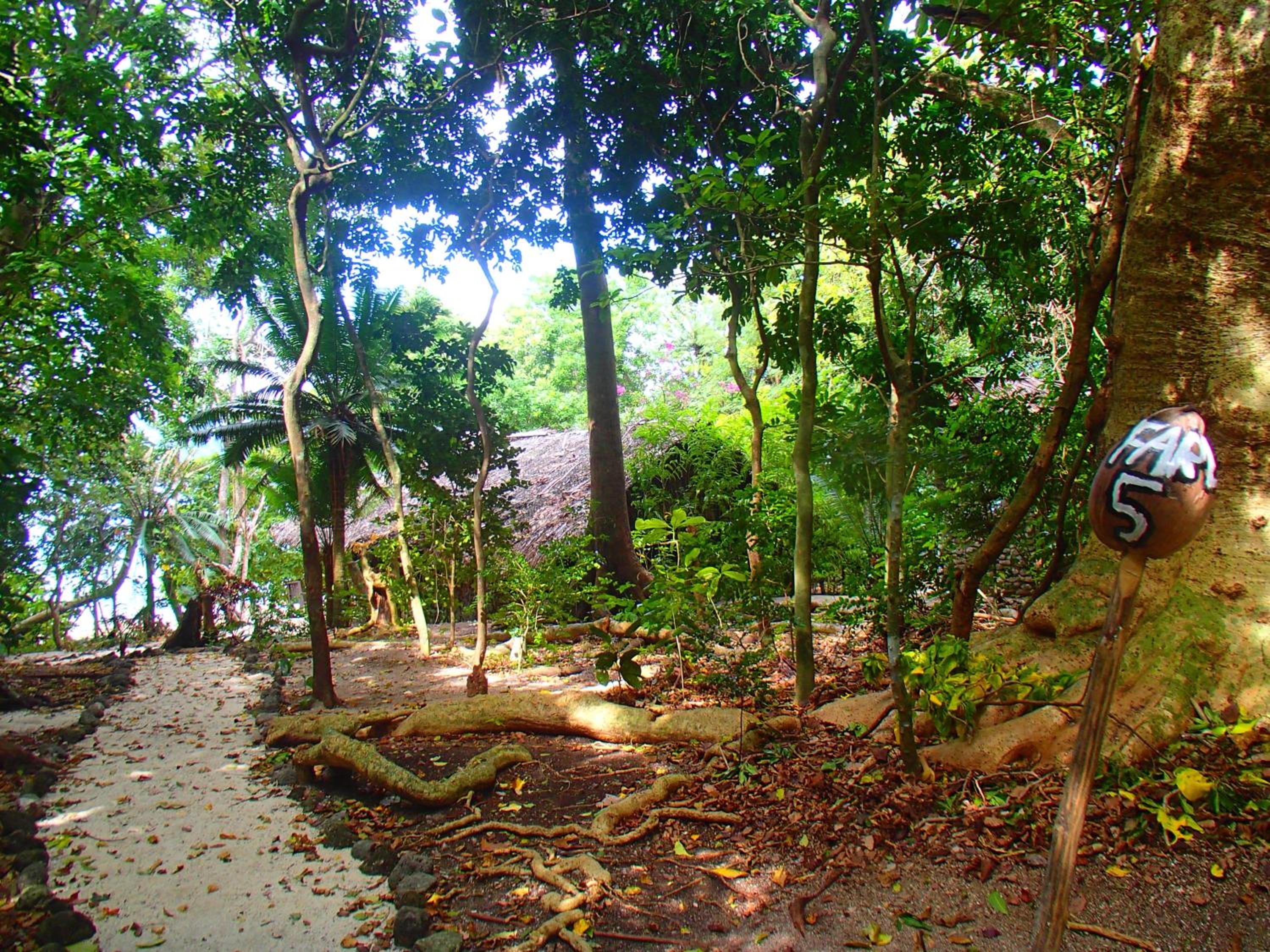 Tranquility Island Eco Dive Resort