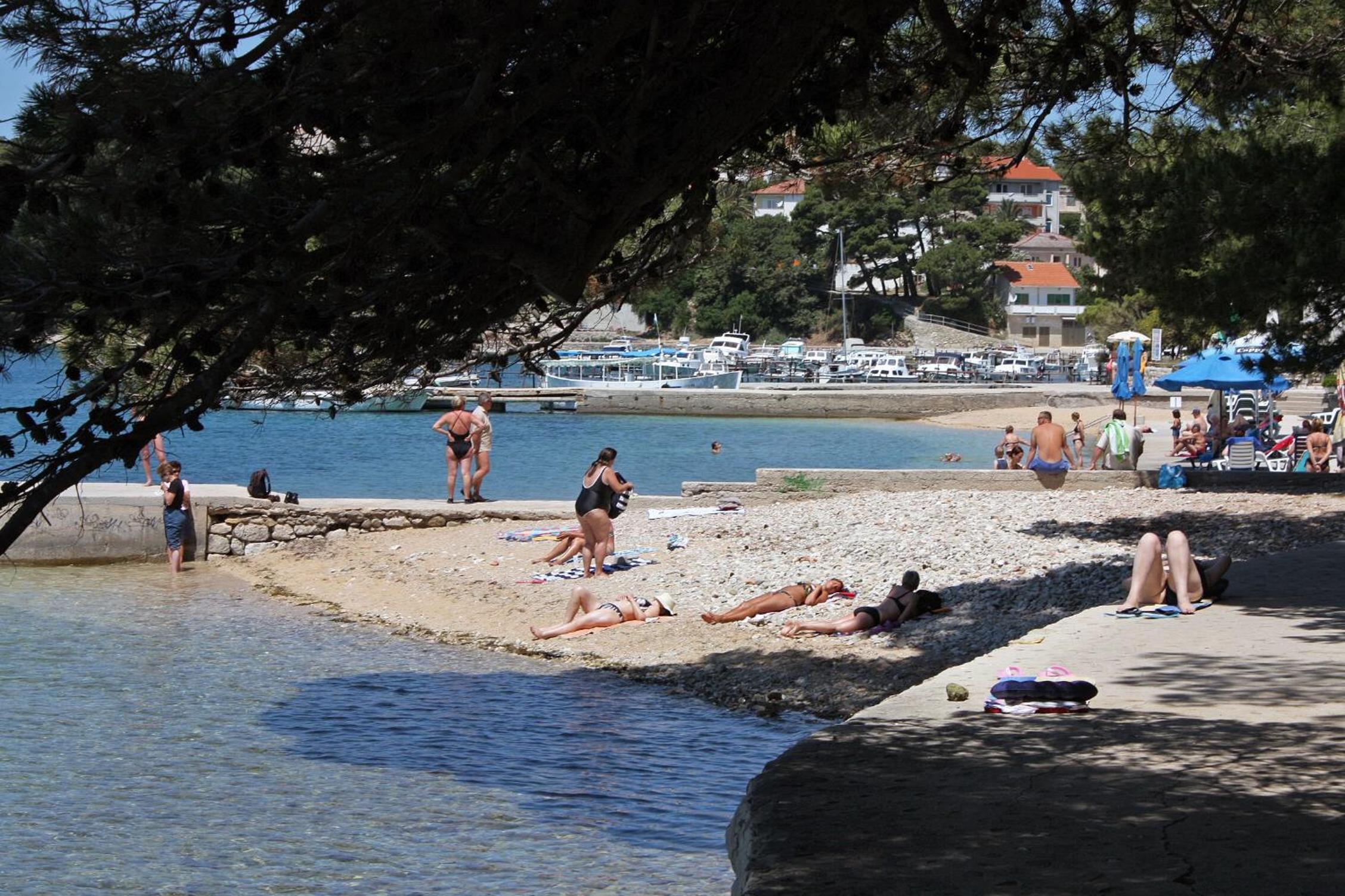 Apartments with parking space Palit, Rab - 18681 view 2