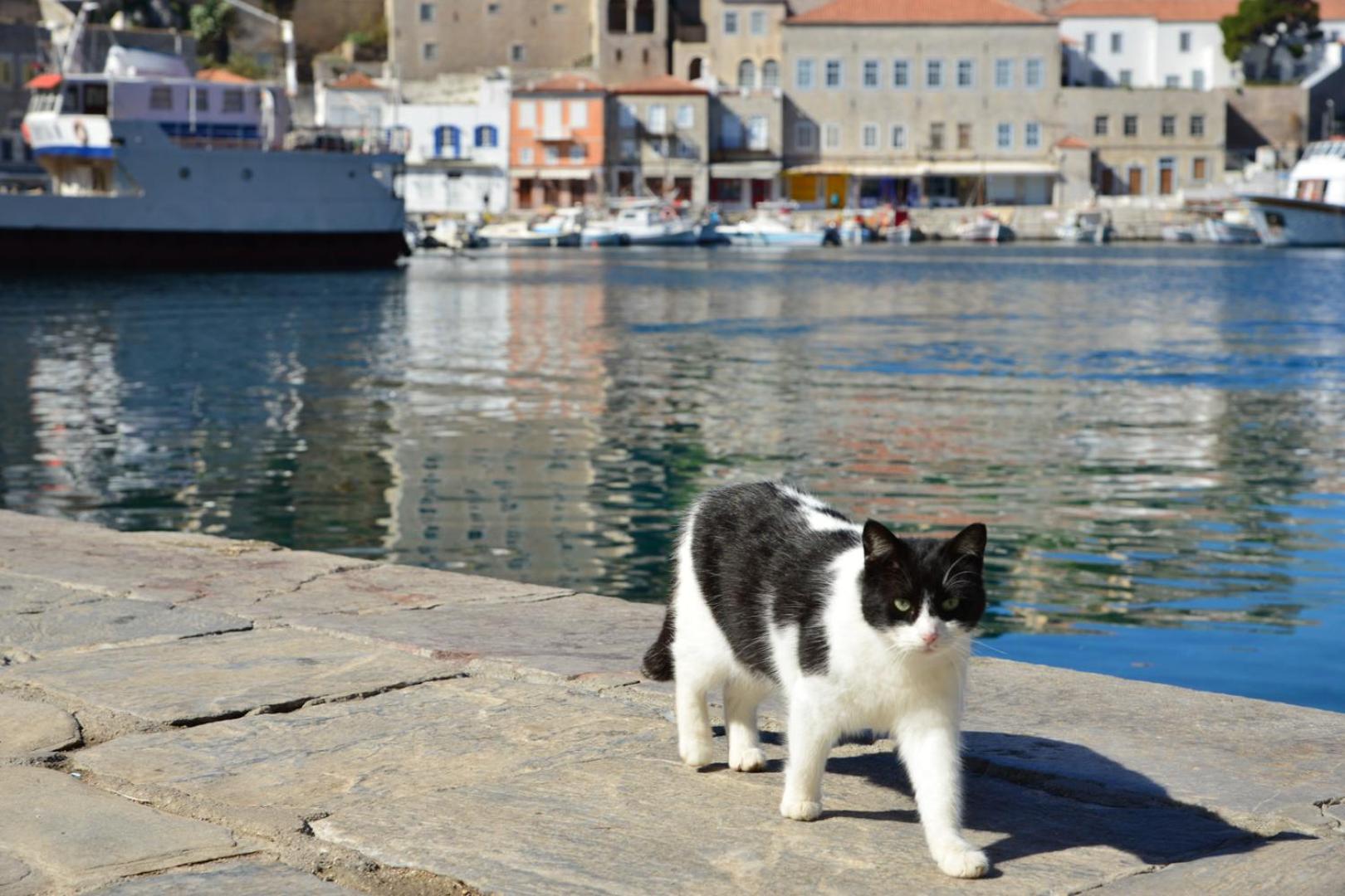 Hydra town, Relaxing patio Panoramic sea view