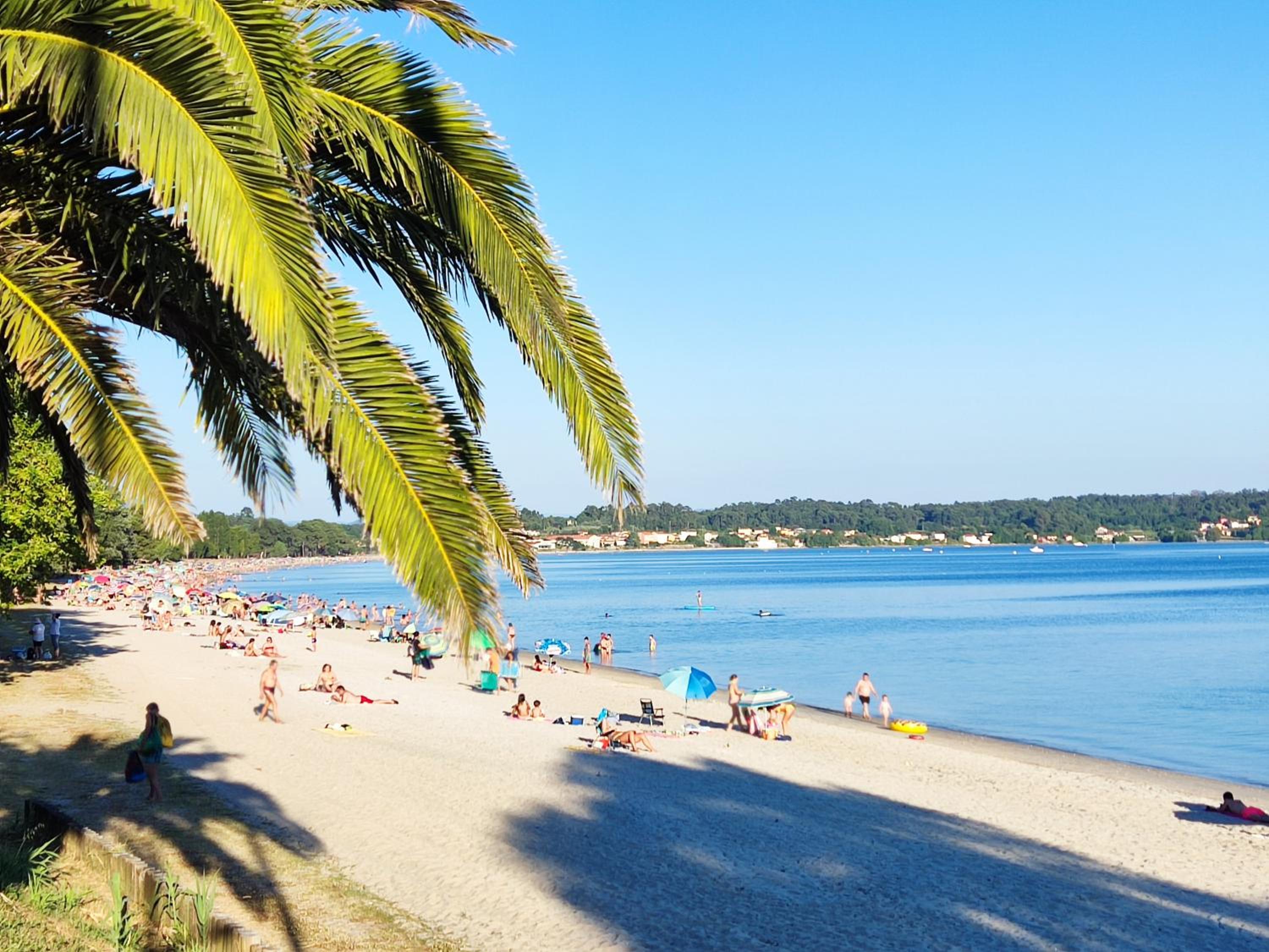 La Dorada