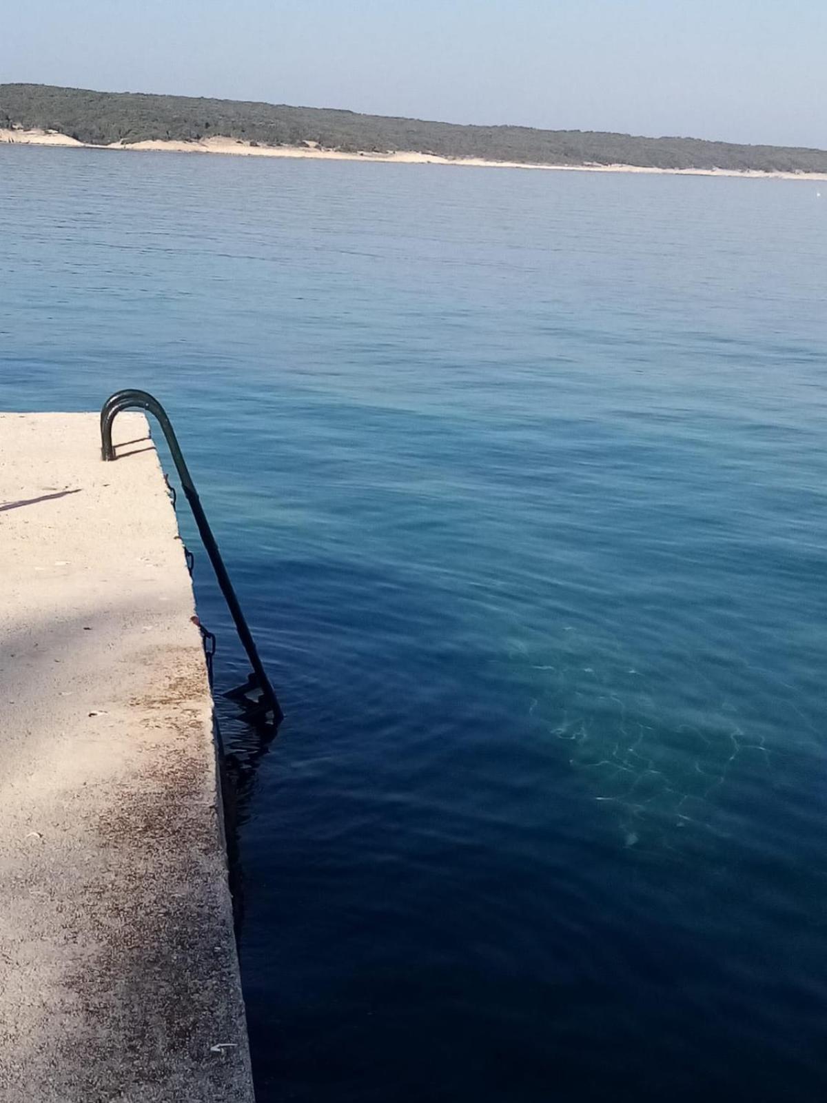 Apartments by the sea Supetarska Draga - Gonar, Rab - 19015 view 4