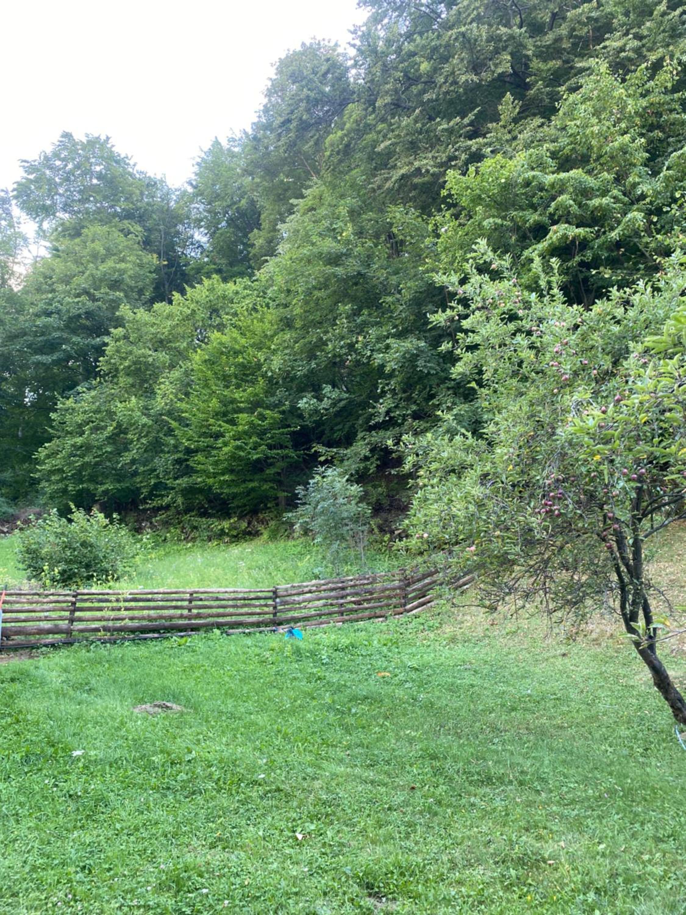 Photo 45