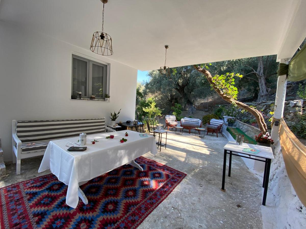 House with beautiful garden in Plomari photo 1