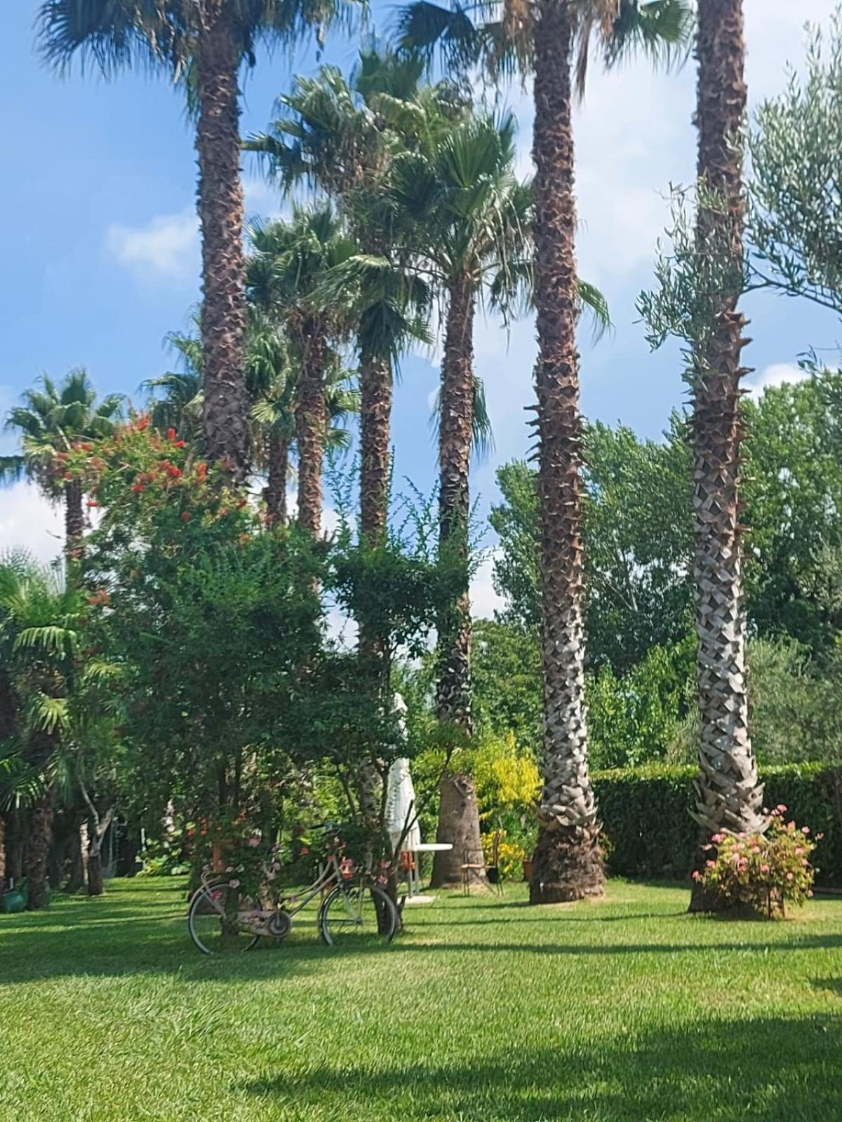 B & B 2 eRRe photo 3