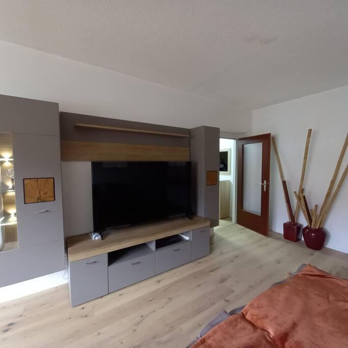 Riccis 47m2 bamboo flat view 2