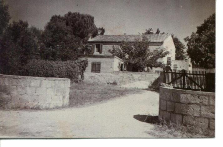Photo 40