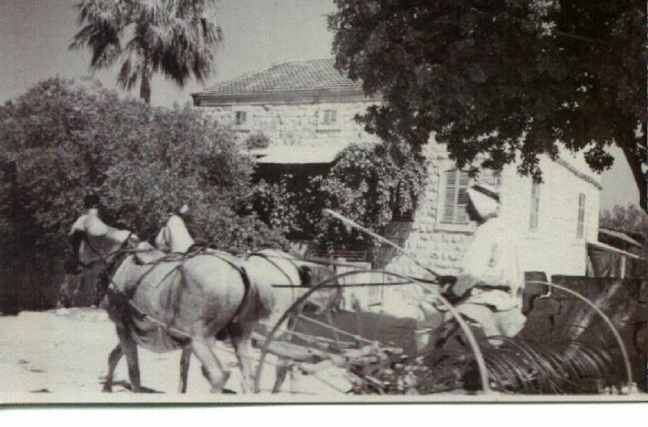 Photo 43