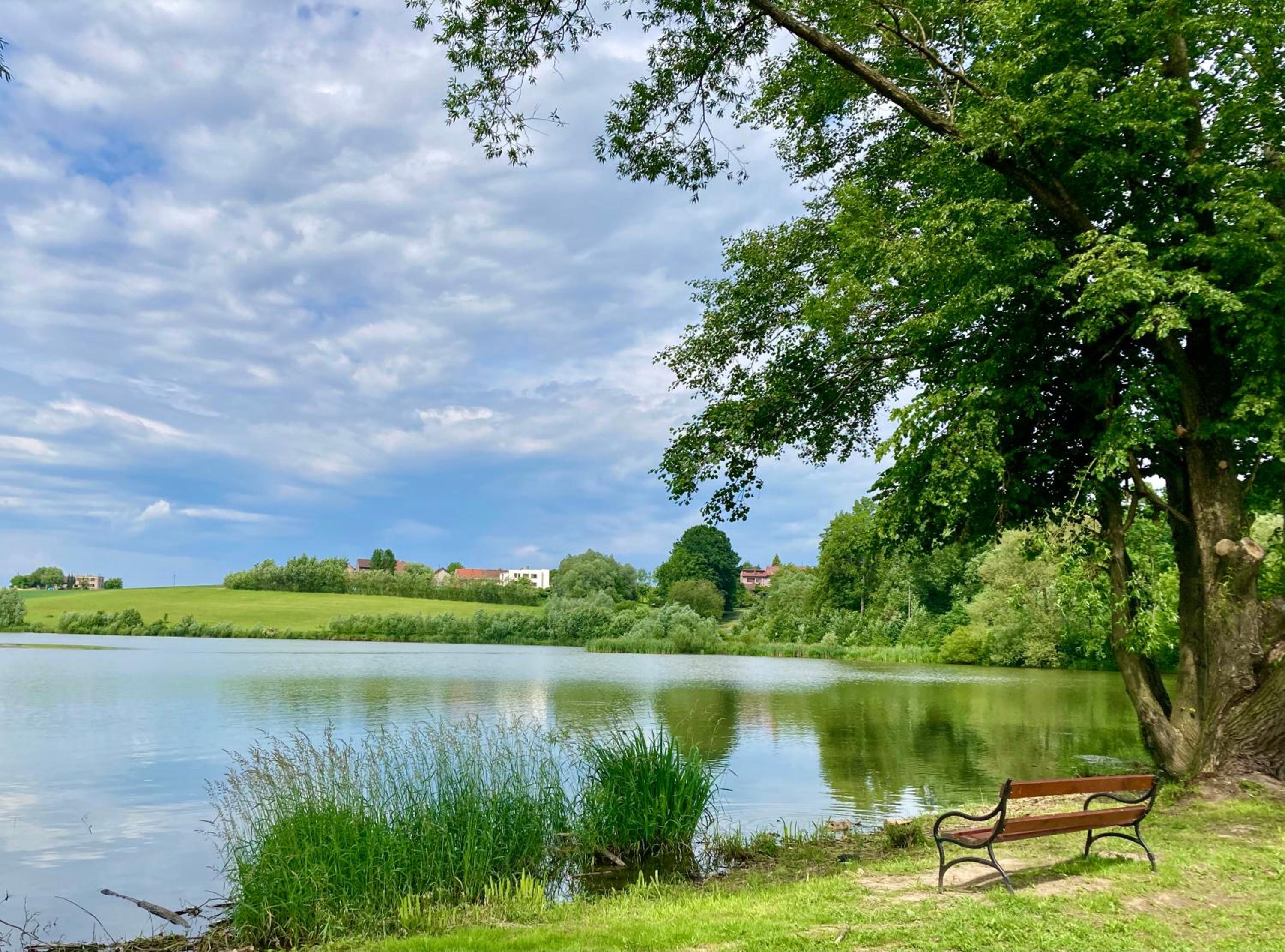 Apartmán Nad Přehradou