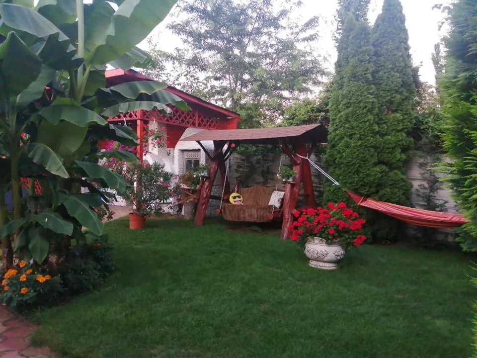 Photo 25
