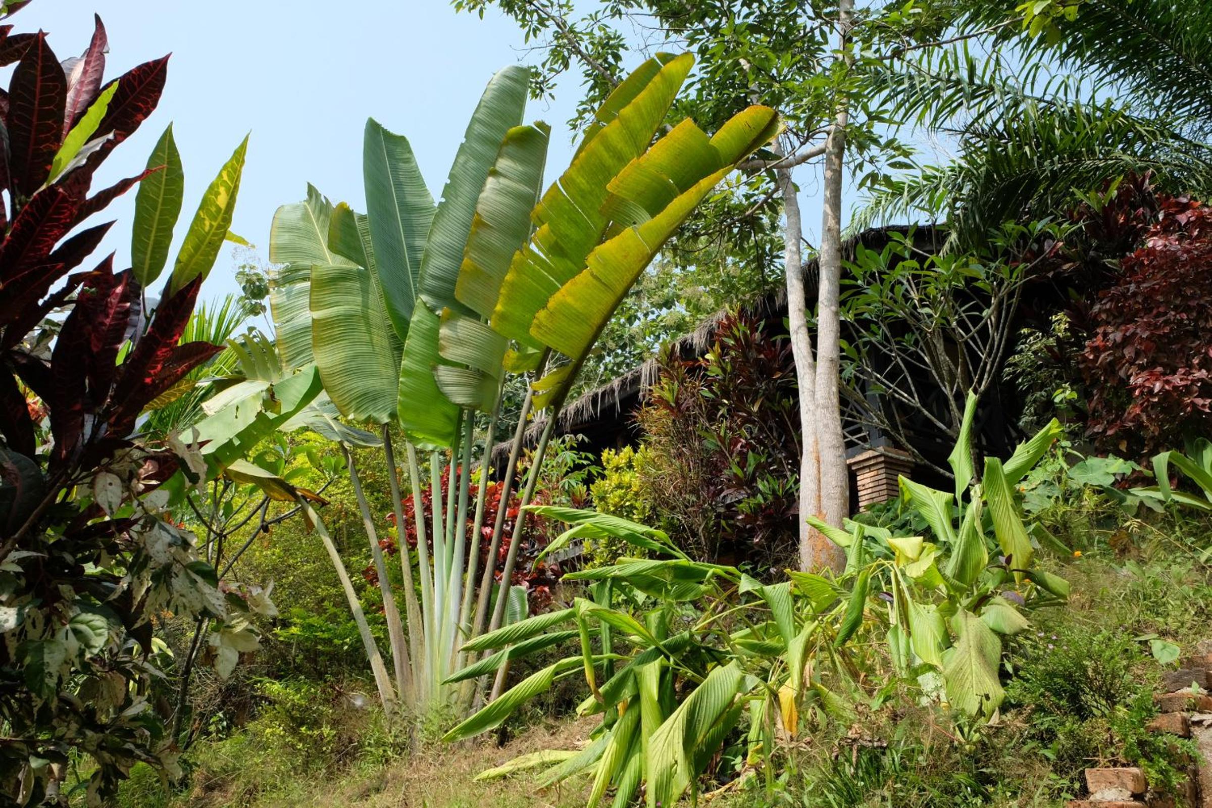 Hillside - Nature Lifestyle Lodge — photo 48