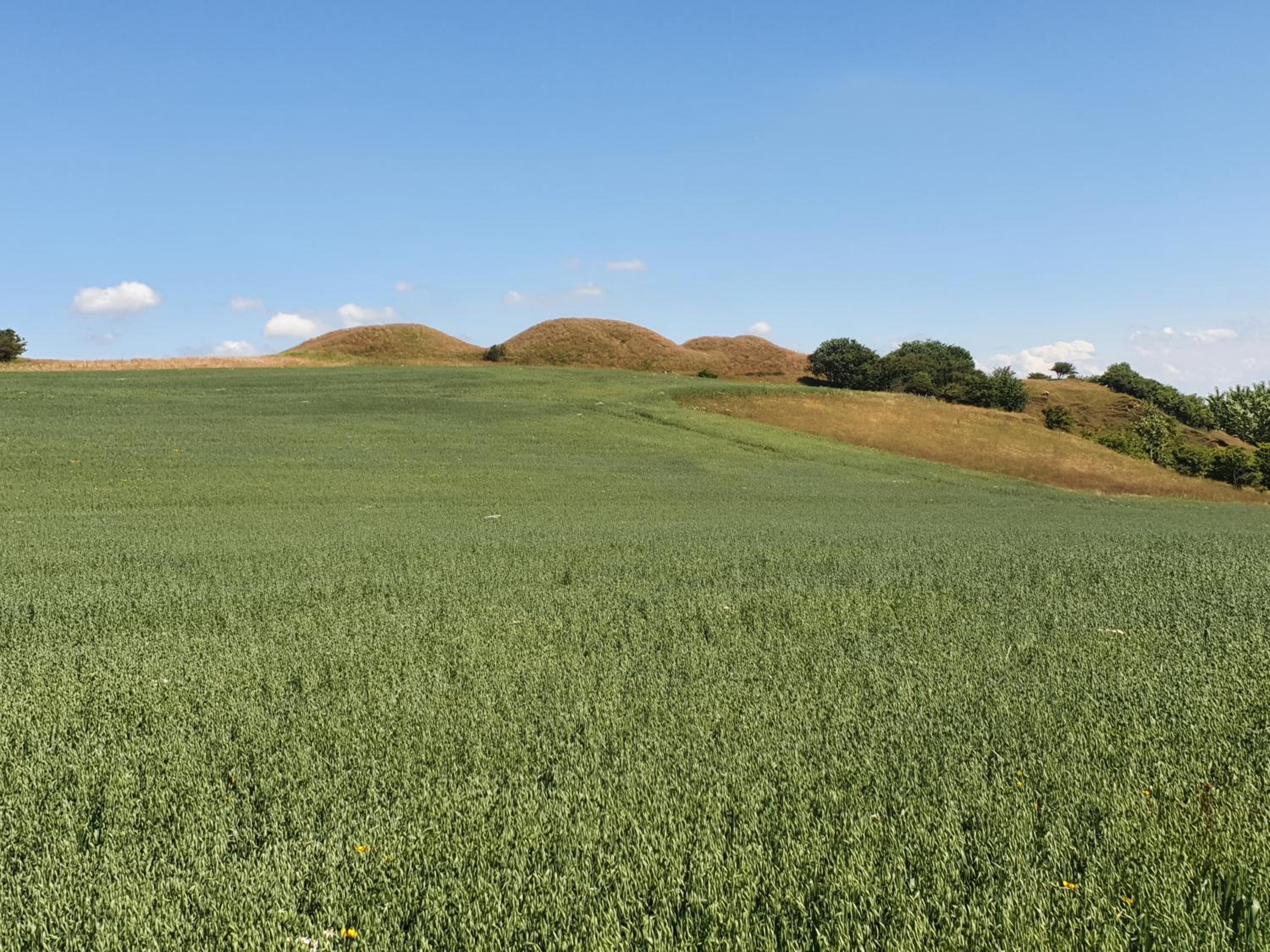 Airbnb-lejligheder, Villerslev